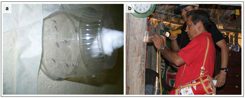Figure 4: Fenitrothion exposure bioassays. (a) Anopheles (Nys.) albimanus mosquitoes in exposure cones over a surface treated with 40% PW fenitrothion (b) Mosquitoes are transferred to new containers following a 30 min exposure period and maintained on 10% sucrose.