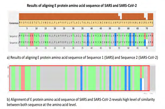 Figure 4: Alignment results of amino acid sequence of E protein of SARS and SARS-CoV-2.