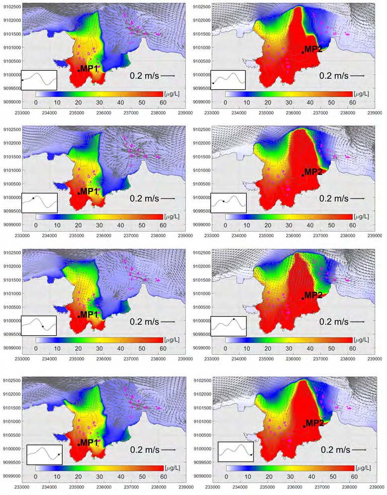 Figure 11: The results showed that C accumulation on the seafloor is generally restricted to the near vicinity of the fish farms, and accumulation rates are higher along the eastern channel. It is worth noticing that the footprint of organic enrichment was within the acceptable limits of about 5 gC/m2d under most traditional fish farms with cage depths of 3 m; however, the footprint was much more significant under the large-scale commercial farm clusters (see farms numbered 21 and 30 in Figure 11), and the rates of C accumulation exceeded the threshold value notably (Figure 11). The results obtained in the present study agree with the PCC predictions by Mayerle, et al. [29] and the on-site assessments conducted by Runte, et al. [30]. In general, C accumulation was more pronounced beneath the farm cluster 30 since current velocities there were slightly lower than those at the farm cluster 21. Due to the lower flushing rates in September 2012, the C accumulation rates during this period were slightly higher compared to the conditions in January 2008.