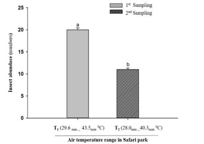 Figure 1: Effect of air temperature gradients on insect abundance at the study site of Safari park.