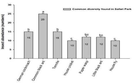 Figure 14: Most common diversity index found in the study location of Safari Park.