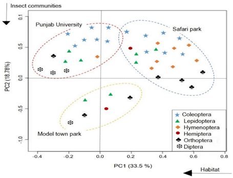 Figure 16: Ordination diagram based on Principal Component Analysis distinguishing the diversification and adaptation pattern of major insect communities at different study sites, Lahore.