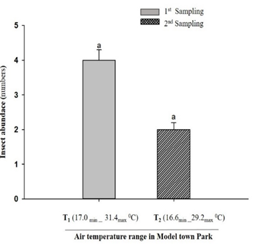 Figure 3: Effect of air temperature gradients on insect abundance at the study site of Punjab University.