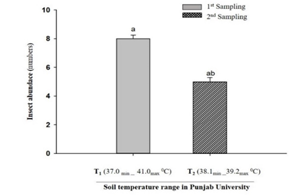 Figure 6: Effect of soil temperature gradients on insect abundance at the study site of Safari Park.