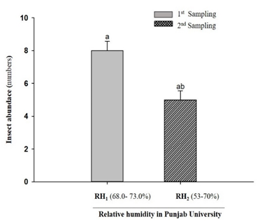 Figure 7: Effect of humidity level on insect abundance at the study site of Model town Park.