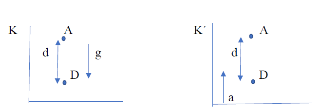 Figure 4: The system K with the gravitational field g and with the photon falling a distance d before it is absorbed by the detector D. The same for the equivalent system K´ but with the acceleration a=g.