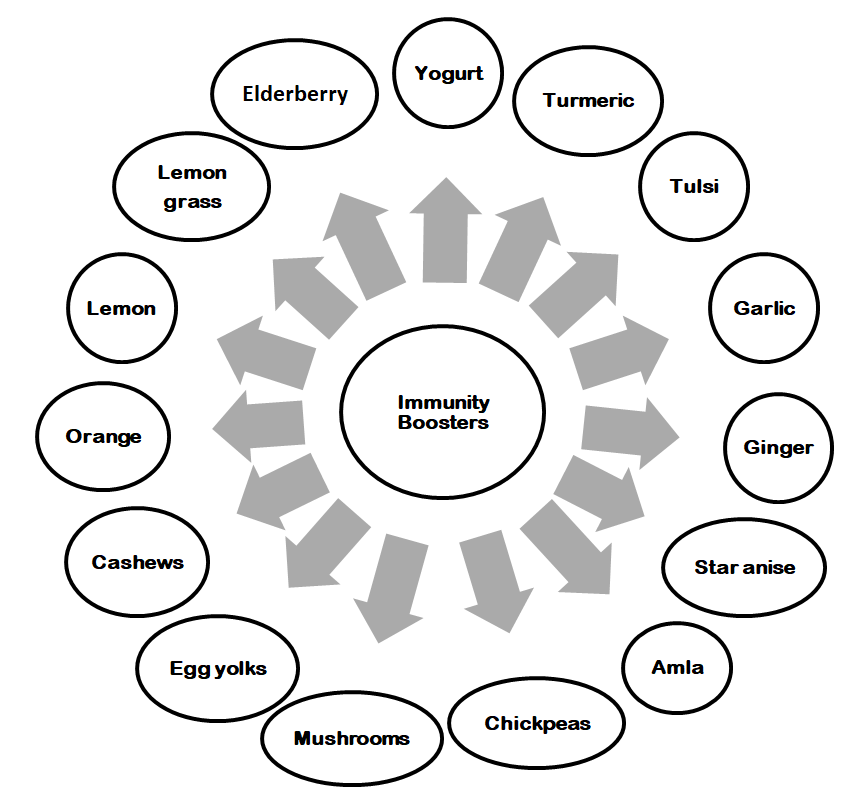 Figure 1: Immunity Boosters Food Items.