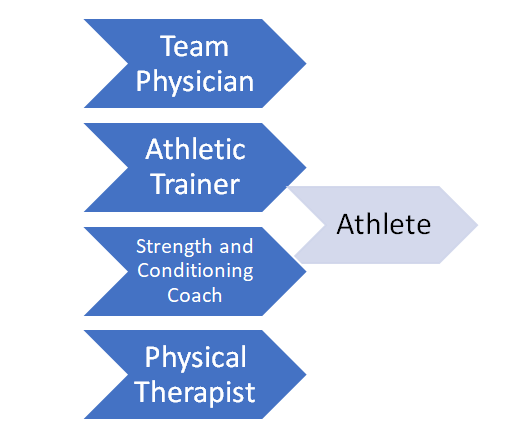 Figure 3: A Novel Model for the Professional Basketball Athlete.