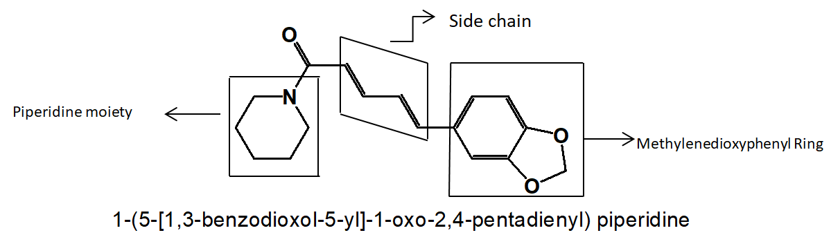 Figure 1: Structure of piperine.
