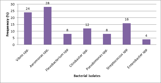 Figure 5: ### Antimicrobial Susceptibility