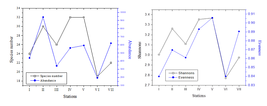 Figure 3: Species number, abundance, Shannon’s index and evenness at the sampling stations.