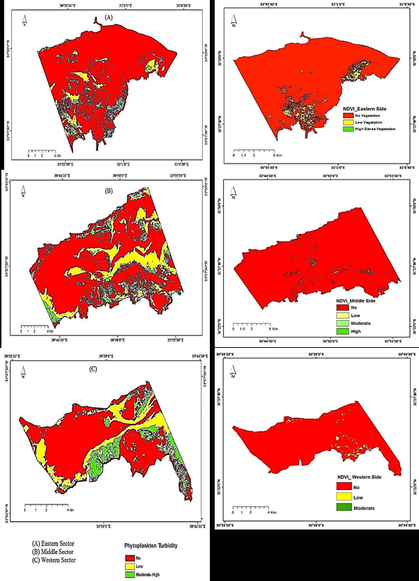 Figure 4: Phytoplankton Turbidity distribution and NDVI along the three sectors of Burullus Lake.