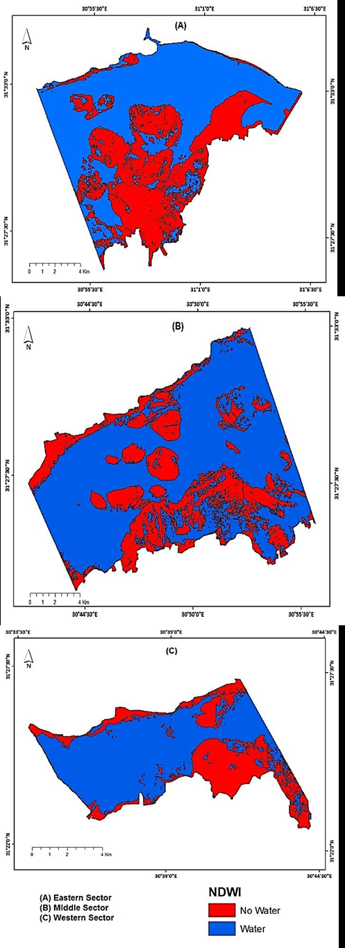 Figure 6: Areas covered with vegetation, water and phytoplankton turbidity.