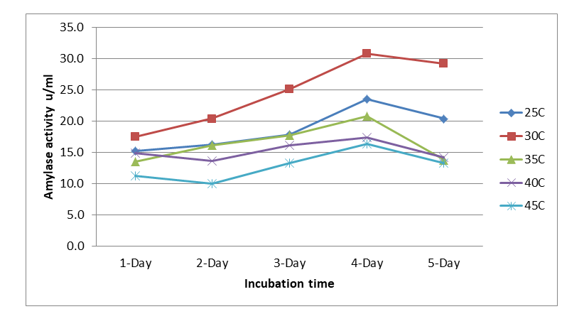 Figure 4: Effect of temperature in the production of amylase using Rhizopus oryzae.