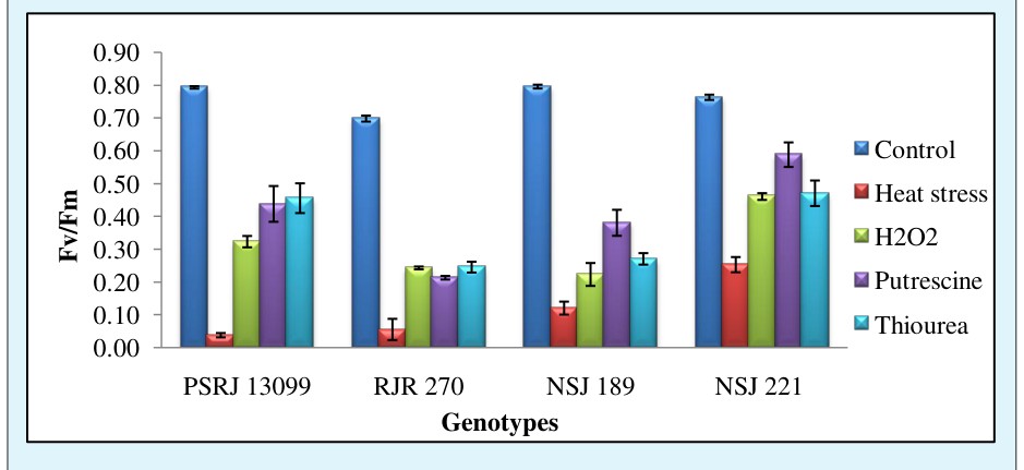 Figure 1: Effect of foliar application of H2O2, Putrescine and Thiourea on cell membrane stability (CMS %) of maize seedlings exposed to high temperature stress Sprays with Put, TU and H2O2 improved CMS in all the genotypes studied to varying extent. The improvement was more evident in RJR 270 and PSRJ 13099. Results indicated that H2O2 and putrescine acclimated seedlings had lower CMI for both susceptible and tolerant group of genotypes. These results were in agreement with Ranjeet, et al. 2014 [32]. Jiang & Huang, 2000 [33] found that CMI led to more permeability to ions by increased solubilization and peroxidation of membrane lipids under heat stress. Cell membrane stability is now a well established index for screening crop plants against heat and drought tolerance. In the present study, high temperature stress induced damage in maize was observed to be associated with reduced membrane integrity and increased electrolyte leakage, indicating concurrence with previous reports of Shi et al., 2006; Bala et al., 2010 [34,3].
