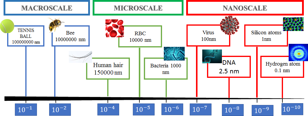 Figure 1: Comparison of scale units with various delivery systems.