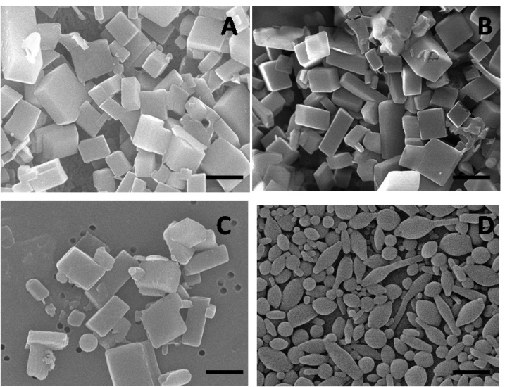 Figure 6: Schematic diagram for the three dimensional nanomaterial –Nanocrystals.