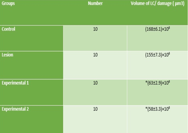 Figure 4: The mean volumes of the LC and damage areas in the study groups.