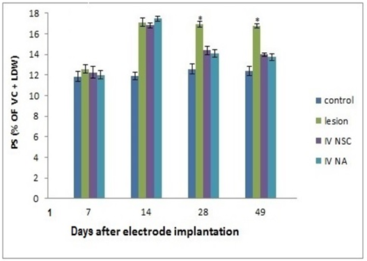 Figure 6: ** Percentages of paradoxical sleep (PS) were obtained in the records of all rats. 1st day: Electrode implantation; 7th day: Lesion; 14th day: cells transplantation.