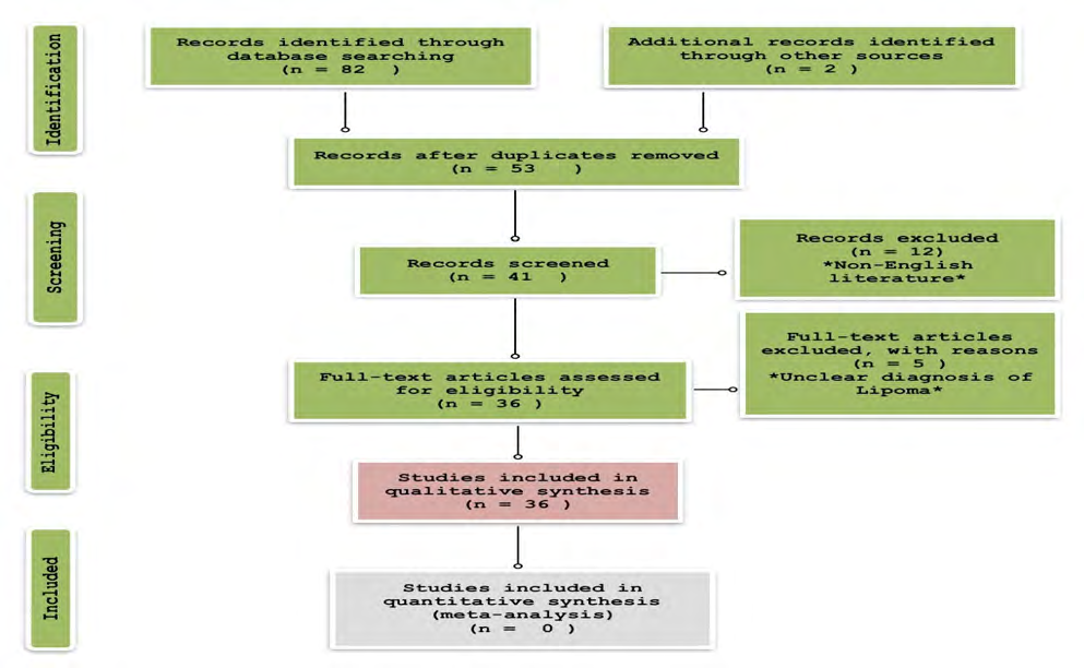 Figure 2: PRISMA flow diagram 2009 [5].