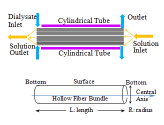 Figure 2: Transverse section of the hollow fiber bundle. The interior and exterior of the hollow fiber are the blood compartment and dialysate flow path, respectively.