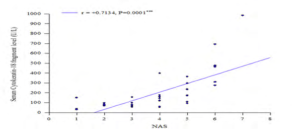 Figure 2: Showing positive correlation between NAS and cytokeratine-18 fragment level (r = +0.7134, p=0.001).