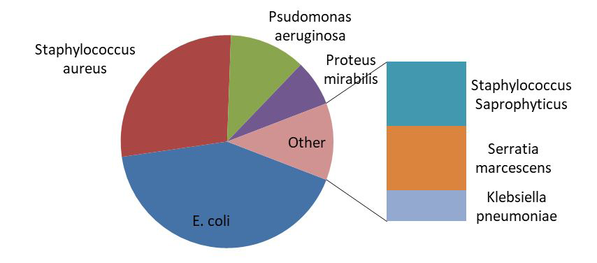 Figure 2: Distribution of bacterial pathogens.