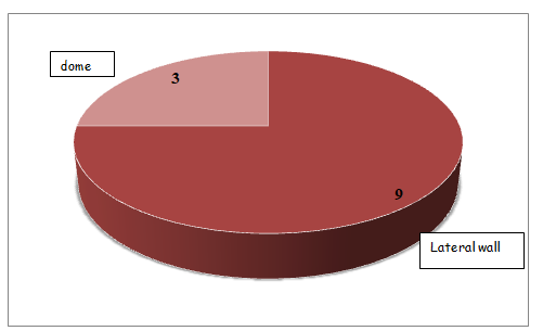 Figure 1: Distribution of patients according to the location of the tumor diverticulum.