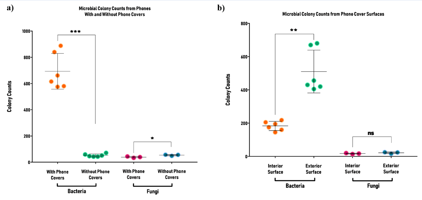 Figure 3: The total number of bacterial and fungal colonies obtained from a) covered phones and uncovered phones, and b) interior and exterior surfaces of phones with flip covers. Each symbol indicates one replicate (N=3; n=6 experiments for bacteria and n=3 for fungi). Two-Way ANOVA and Bonferroni’s posthoc test was used for comparison. Results indicate that bacterial and fungal groups show opposite trends in terms of colonies obtained from phone swabs. The number of bacterial colonies obtained was several times higher than that of fungal colonies for phones with covers (p <0.0001), whereas the difference in colony number was non-significant in the case of phones without covers (p = 0.8023). Bacterial load was much higher on exterior surfaces of phone covers (p <0.01), while the difference for fungi was non-significant (p = 0.234).