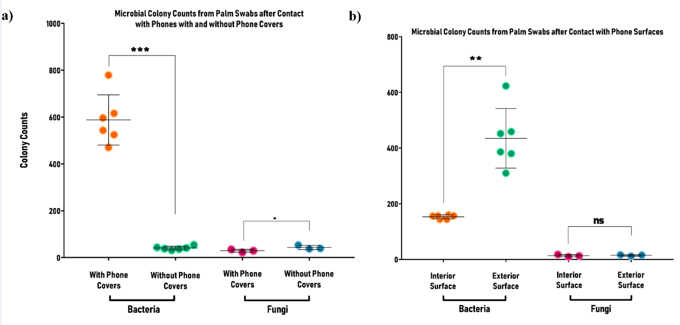 Figure 4: The total number of bacterial and fungal colonies obtained from a) palm swabs after contacting phones with and without phone covers, and b) palm swabs after contacting interior and exterior surfaces of the phones with flip covers. Each symbol indicates one replicate (N=3; n=6 experiments for bacteria and n=3 for fungi). Two-Way ANOVA and Bonferroni’s posthoc test was used for comparison. The number of bacterial colonies plated after contact with phones with covers was significantly higher than that obtained after contact with phones without covers (p < 0.001), while for fungi, the number of colonies obtained from touching uncovered phones was marginally higher (p = 0.0846). The number of bacterial colonies plated after contact with exterior surfaces was significantly higher than that obtained after contact with interior surfaces (p < 0.01), while for fungi, the difference was non-significant.
