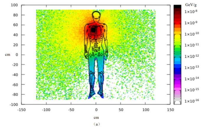 Figure 1: Dose distribution when 200 keV(a) and 300 keV(b) X-ray irradiated human body.