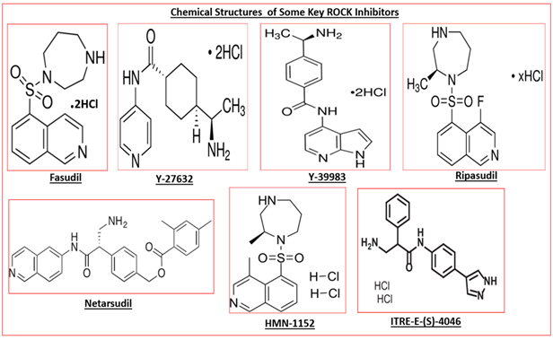 Figure 3: First and second generation of ROCK inhibitors that lower IOP in animals (and some in human subjects).
