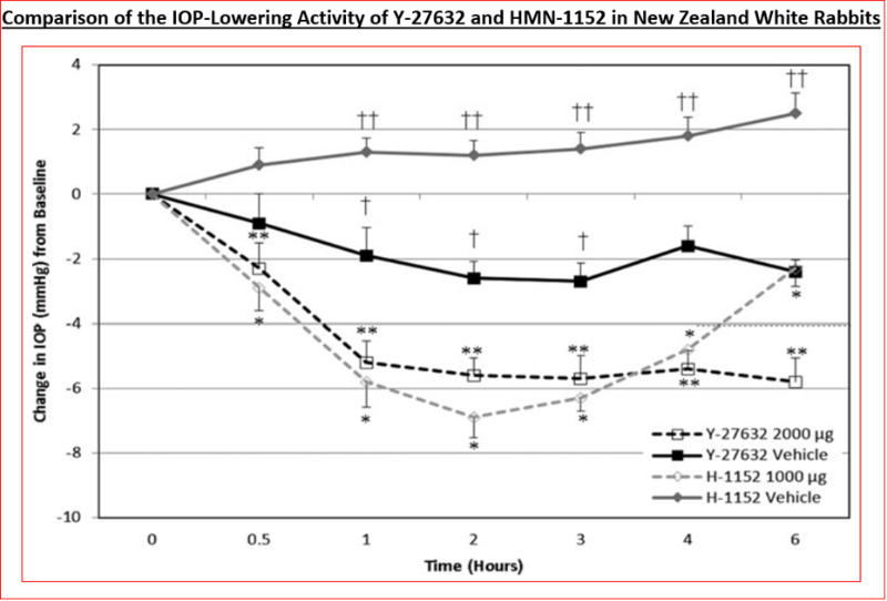 Figure 7: IOP-lowering effects of two different ROCK inhibitors in rabbit eyes.
