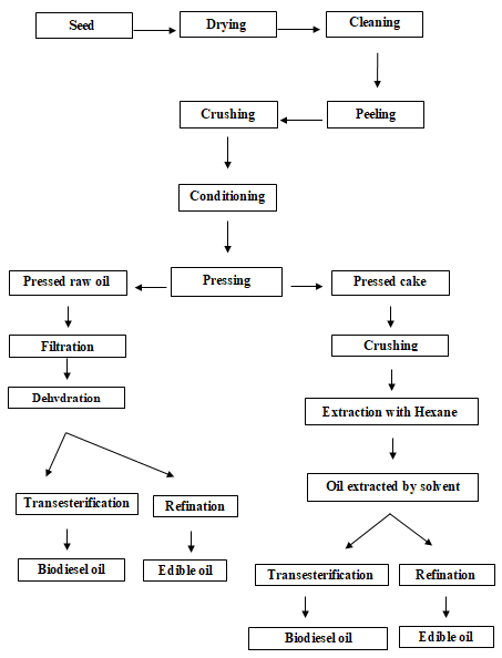 Figure 1: Seed oil extraction processing [1].