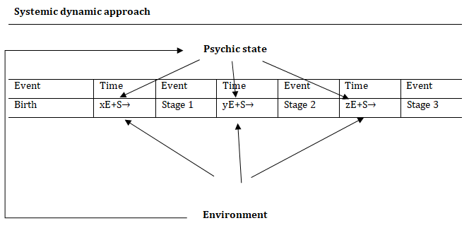 Figure 1: The systemic-dynamic approach takes into account the influences of the environment on the psyche, and of the latter on the phenotype, as well as the direct influences that the environment exerts on it. (E = environment; S = mental state [own elaboration]).