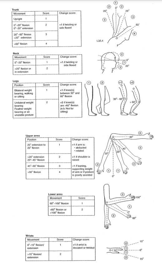 Figure 1: Group A and B body part diagrams [12].
