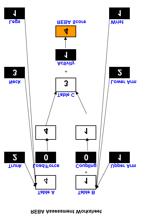 Figure 3: REBA score sheet.