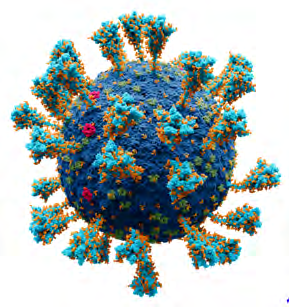 Figure 1: Omicron Virus.