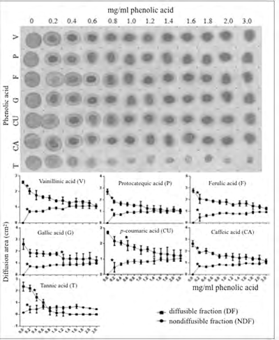 Figure 2: Effect of growing concentrations of phenolic acids on diffusion of albumin on cellulose membranes. The experiment is identical to the one of Figure 1 except that saliva was replaced by albumin in solution. Symbols in this figure have the same meaning as those given in the corresponding legend to Figure 1. Note in the upper panel the progressive but somewhat diverse reduction of the diffusion area of albumin and the appearance of a non-diffusible protein fraction with increasing concentrations of different phenolic acids. Note also the intense anti-diffusive effect of tannic acid on the protein. In the lower panel a planimetric assessment of the diffusion areas for each experimental condition is shown.
