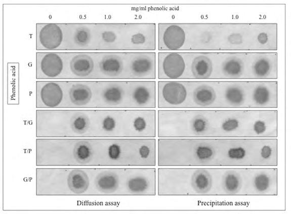 Figure 6: Interaction effect of a single representative phenolic acid (protocatechuic acid, P) with either gallic acid (G) or tannic acid (T) on both diffusion on cellulose membranes and precipitation of albumin as reference protein. Three different total concentrations (0.5, 1.0 and 2 mg/mL) of either single PAs (T, G and P) or 1:1 mixes of PAs (T + G, T + P and G + P) were mixed at a 1:1 v/v ratio with albumin working solution. Aliquots of the final mixes were spotted on a cellulose membrane and assayed for protein diffusion (left panel). Supernatants from the same final mixes were used to assess precipitation of albumin (right panel) also using cellulose membranes. Numbers on top of the panels stand for total concentrations of phenolic acids (PA) before being mixed with BSA. Concentration zero represents albumin correspondingly diluted with the hydroalcoholic solvent used to dissolve phenolic acids. Note similar mild anti-diffusive effects of P, G and P + G and a markedly stronger anti-diffusive effect of tannic acid (T). The anti-diffusive effects of T + P and T + G mixes resembled the one of T alone. In the precipitation test, G, P and G + P showed a similar weak effect, but the non-precipitated albumin became part of less diffusible protein aggregates. By contrast, T alone was able to almost fully precipitate albumin but in presence of G or P such precipitating activity was noticeably reduced. However, such non-precipitated albumin became part of still less diffusible protein aggregates.