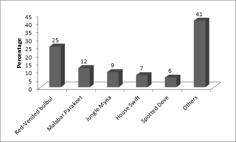 Figure 1: Percentage of birds sighted in sample plot area of Gudalur Forest Division.