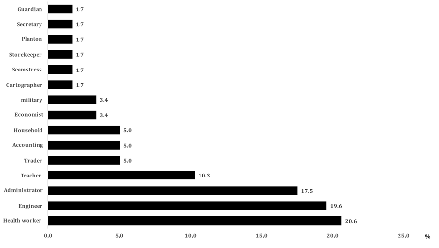 Figure 1: Distribution of the 97 workers according to the occupations identified during the study.