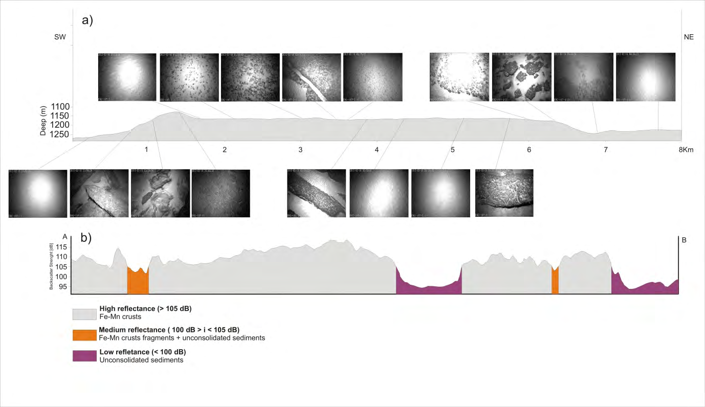 Figure 2: Bathymetric (a) and reflectance (b) profile of the marine substrate. Images acquired using the TV Grab system and showing the main types of ferromanganese crusts on the Rio Grande Rise.
