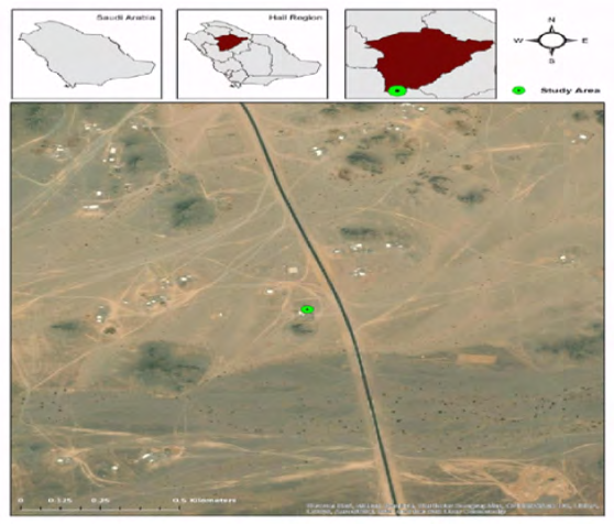 Figure 1: Geographic location of area from where the brown widow spider was collected.