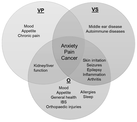 Figure 2: Venn diagram of believed potential applications and uses for CBD according to participant groups.