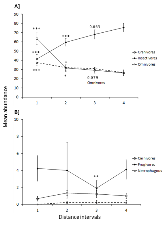 Figure 3: Mean total abundance [±1 SE] of six trophic guilds along four distance intervals to the boundary line between non-managed vegetation in the Parque Nacional das Emas [SW Brazil] and adjacent agriculture. A] guilds for which the GLMM showed a significant relationship. B] guilds for which GLMM were not significant. Distance intervals are coded from the edge to the interior as: 1 [0-500 m], 2 [500-1,000 m], 3 [1,000-1,500 m] and 4 [interior]. The significance of the contrasts comparing each of the first three distance bands with the interior band is shown close to significant mean symbols. *: P < 0.05; **: P < 0.01; ***: P < 0.001. For marginally significant comparisons the p value is shown. Note the different y-axis scales for each graph.