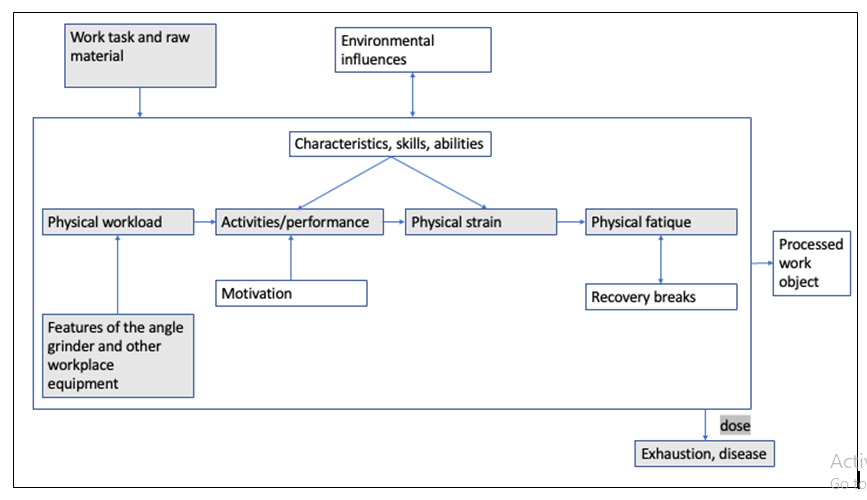Figure 1: Conceptual model of the relationship between external physical factors and internal response (focused features in gray).