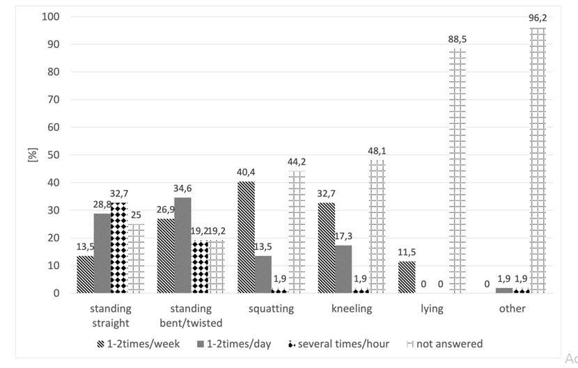 Figure 4: Postures during the last 12 months (n=42).