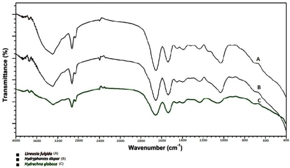 Figure 5: FTIR Analysis of Limnesia fulgida, Hydryphantes dispar, Hydrachna globosa.