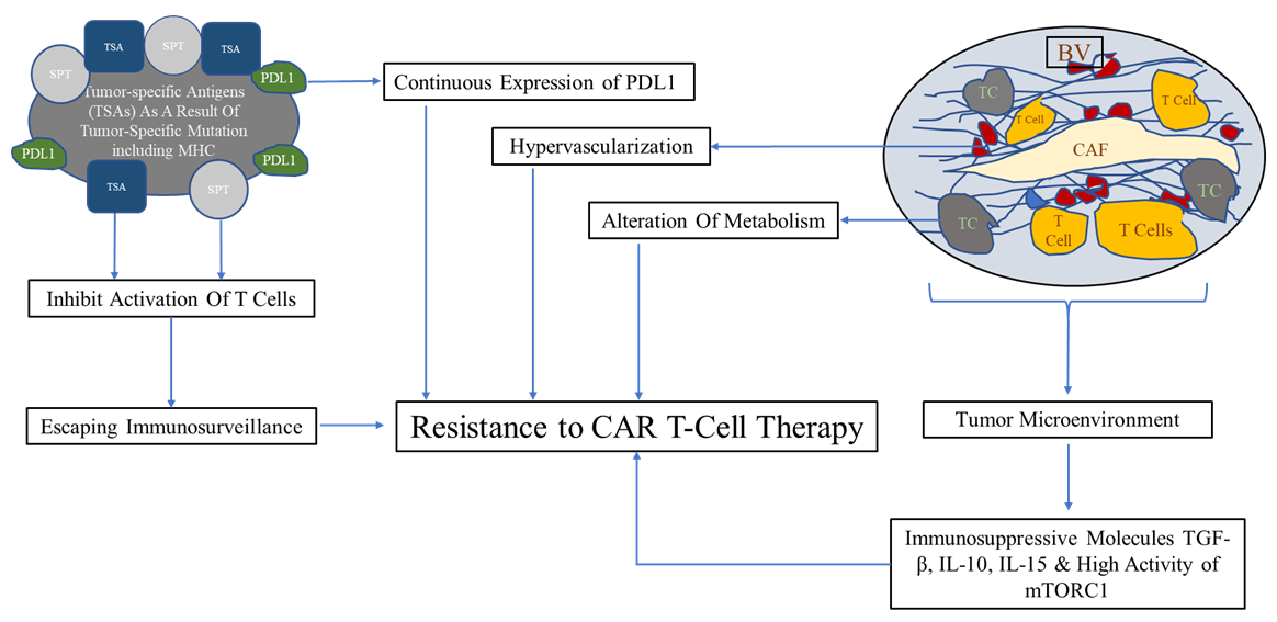 Figure 1: CAR T-Cell Therapy Resistance Scheme. Surface Proteins of Tumor Cells (SPT), Tumor-Specific Antigens (TSP), Tumor Cell (TC), Blood Vessels (BV), Cancer-Associated Fibroblasts (CAF).